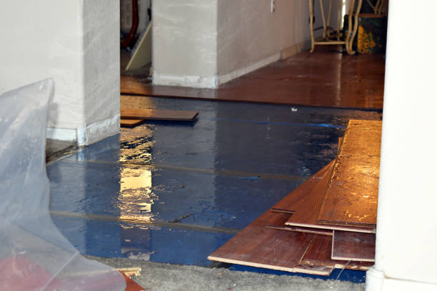 Professional Burst Pipe Cleanup technician working in Woodland, AL