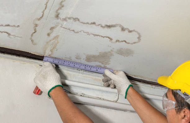 Reliable Burst Pipe Cleanup contractor in Woodland, AL by Water Damage Irwin
